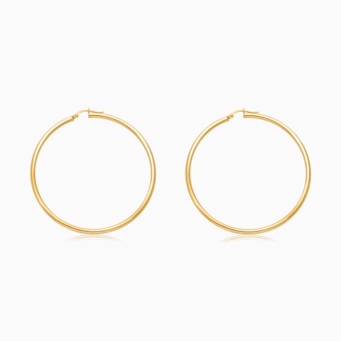 18K Yellow Gold Round  Earrings – Hoops Collection